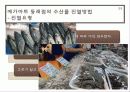 [유통론] 대형마트 : 대형소매점의 수산물 판매 관리 실태 - Ready to cook 제품 (즉석식품), 메가마트 동래점 16페이지