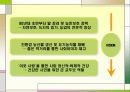 풀무원(pulmuone) 사회적책임과 사회공헌활동 CSR사례 파워포인트 19페이지