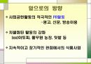 풀무원(pulmuone) 사회적책임과 사회공헌활동 CSR사례 파워포인트 25페이지