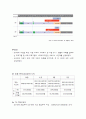 농심 마케팅 광고기획서 16페이지