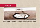 시계산업의 패션혁명 스와치(Swatch) 마케팅 사례분석, IMC전략분석,미래전략제안,나의 의견 29페이지