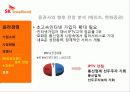 SK브로드밴드 기업 경영분석과 경영사례분석 15페이지