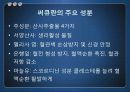 동아제약 써큐란 광고기획서 6페이지