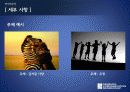 삼성전자 디지털카메라 제품판매촉진위한 마케팅전략 제안서(SNS 페이스북을 활용한 마케팅전략) - Pulitzer Prize on Facebook 15페이지