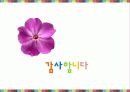한국형 디저트카페 창업 사업계획서 27페이지
