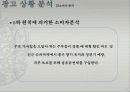 샤프란 광고전략기획서 13페이지