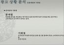샤프란 광고전략기획서 25페이지