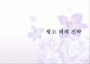 샤프란 광고전략기획서 42페이지