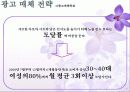 샤프란 광고전략기획서 43페이지