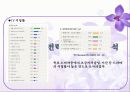 샤프란 광고전략기획서 46페이지