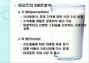 서울우유 마케팅전략분석 파워포인트 12페이지