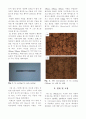 Sn 주물의 스핀 캐스팅 회전속도에 따른 기계적 특성 (Effect of Spin casting RPM on the Mechanical Properties of Sn Castings) 2페이지