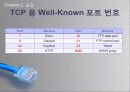 TCP분석 6페이지