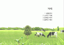 일동 후디스 마케팅 전략분석과 새로운 마케팅 전략제시 2페이지
