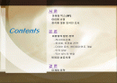 한식 비빔밥 세계화를위한 마케팅전략 기획안 2페이지
