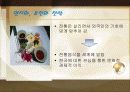 한식 비빔밥 세계화를위한 마케팅전략 기획안 10페이지
