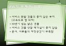 마케팅 - Sullivan’s Auto World 5페이지