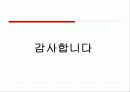 [글로벌 광고론] ‘리치미디어(Rich Media)’ 광고 해외 광고계 동향 13페이지