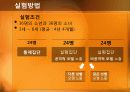 보보인형 연구 (BOBO DOLL EXPERIMENT) 5페이지