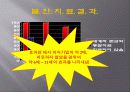 공포에 대처하는 우리들의 자세 13페이지