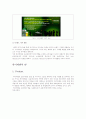 하이네켄(heineken)의 stp,4p 전략 3페이지