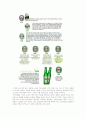 하이네켄(heineken)의 stp,4p 전략 5페이지
