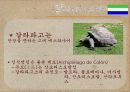 _갈라파고스 4페이지