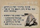 _갈라파고스 7페이지