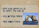 _갈라파고스 9페이지