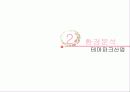 에버랜드(Everland) 서비스 마케팅 사례 분석 10페이지