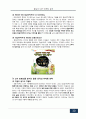 참살이L&F의 참살이탁주 마케팅전략분석및 새로운마케팅전략제안 30페이지