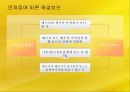 [우수레포트 선정][한부모가족 정책 방안] 사례를 바탕으로 본 한부모가정의 문제점과 한부모가족 분석 및 정책적 제안 11페이지