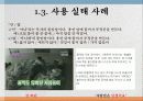 [★우수레포트★][한글 맞춤법] 한글 맞춤법 실태 조사와 특징 및 올바른 한글 사용 방안 및 전망 14페이지
