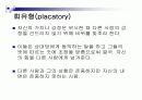 일치적_의사소통(Satir) 6페이지