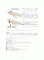 radius_fx_case 2페이지