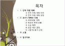 인적자원계획과 군개혁안 사례 2페이지