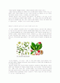 코카콜라 마케팅전략분석/서론 및 선정동기/기업소개(탄생배경/연혁/제조과정)/해외진출현황/펩시와의 비교분석/시장현황분석/코카콜라의 스포츠,컬러마케팅/STP/4P/SWOT분석/결론 6페이지