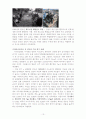환경난민에 관한 조사 15페이지