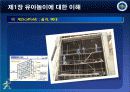제1장 유아놀이에 대한 이해 19페이지