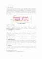 (병리학)면역 9페이지