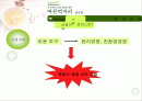 로하스 경영, 풀무원 경영 전략(소개, POLC, 4P, SWOT, 장단점) 2페이지