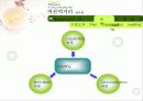 로하스 경영, 풀무원 경영 전략(소개, POLC, 4P, SWOT, 장단점) 8페이지