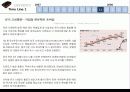 검은황금_Petroleum,_그리고_LG화학과_아시아나항공 16페이지