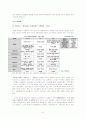 화장품 시장의 유통현황, 유통경로 6페이지