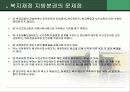 지방자치제와 지역사회복지 13페이지