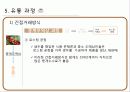 커피의 유통구조(커피의 특징, 시장현황, 유통과정) 19페이지