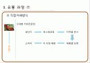 커피의 유통구조(커피의 특징, 시장현황, 유통과정) 21페이지