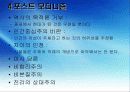 화장품 시장의 현황과 유통 분석 및 성공요인 (미샤 4P, STP) 6페이지