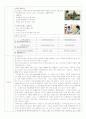 사회복지현장교육보고서 21페이지