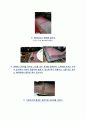 Glass Fiber 와 Basalt Fiber 공정실험레포트 3페이지